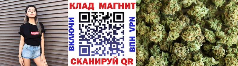 Купить закладку Марихуана  Alpha PVP  Cocaine  ГАШ  МЕФ  Вязьма
