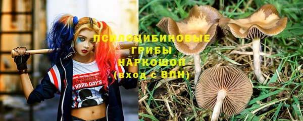 мдпв Заволжье