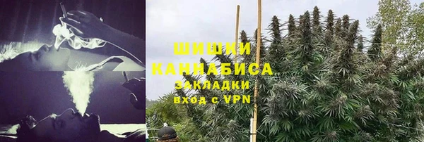 ГАЛЛЮЦИНОГЕННЫЕ ГРИБЫ Заволжск